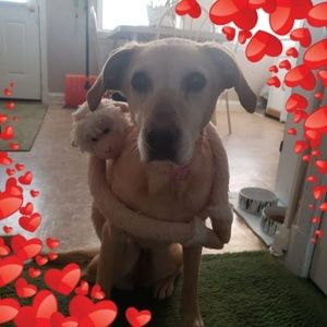 Meet your Posher, Barbara